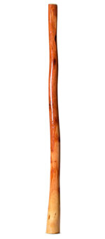 Ironbark Didgeridoo (IB278)